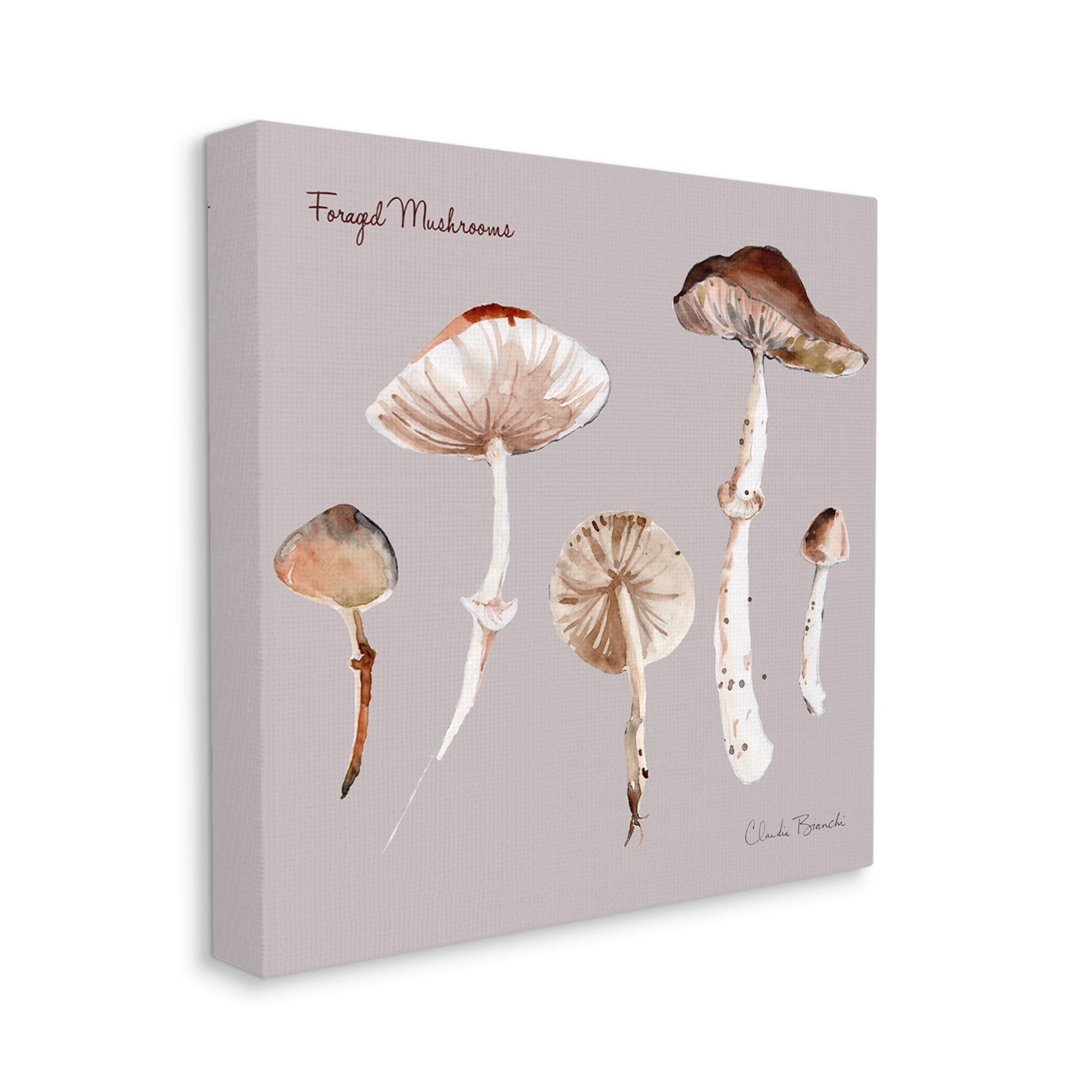 Stupell Industries Foraged Mushrooms Study Botanical & Floral Painting Gallery Wrapped Canvas Art Print Wall Art, 30 x 30