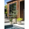 thumbnail image 4 of Veradek Kona Series Bundle - Three Piece Set of Plastic-Stone Planters - Sand, 4 of 9