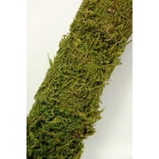 Moss Poles 24 inch