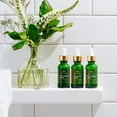 thumbnail image 2 of Skin Care Set Tree of Life Beauty Complete Hydration Trio, 2 of 8