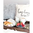 thumbnail image 4 of Love Lives Here Pillow Cover, 4 of 4