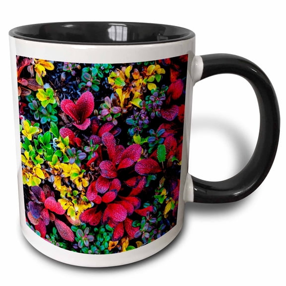 3drose, Alaska, Noatak National Preserve. Alpine Bearberry on Arctic Tundra., 11oz Two-tone Black Mug