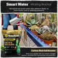 thumbnail image 2 of Wakefield Biochar Biochar Blend for Cactus & Succulents - CarbonBoost - 2 Quart, 2 of 8
