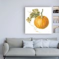 thumbnail image 3 of Trademark Fine Art 'Floursack Autumn VI on White' Canvas Art by Danhui Nai, 3 of 3