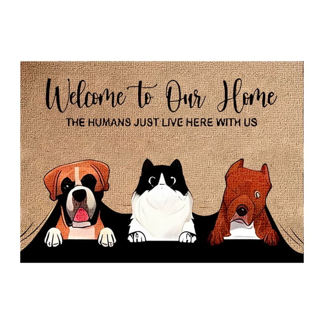 Summer Door Mats Outdoor Entrance Rug Holders for Wood Floors Super Absorb Mud Front Door Mats Outdoor Home Decor Welcome Mats for Front Door Outdoor Entry Welcome, 16x24 Inch Welcome to Our Home