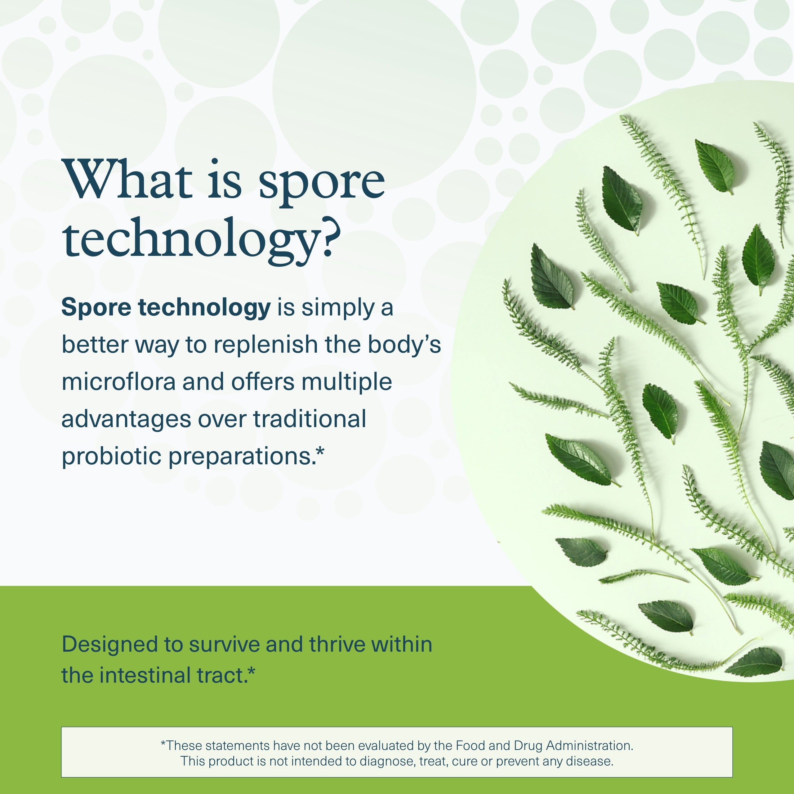 Youtheory Spore Probiotic, 6 Billion CFU, 60 Capsules