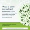 thumbnail image 4 of Youtheory Spore Probiotic, 6 Billion CFU, 60 Capsules, 4 of 7