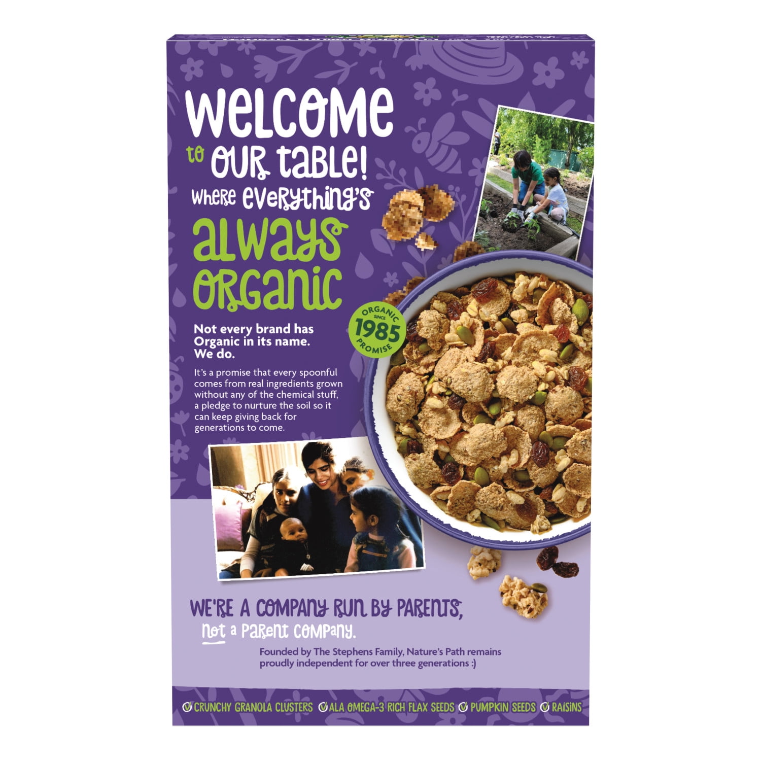 Nature's Path Organic Flax Plus Pumpkin Raisin Crunch Breakfast Cereal, 12.3oz Box (pack of 12)