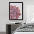 thumbnail image 3 of PixonSign Framed Wall Art Print Echeverria Pink Succulent Half Nature Plants Photography Realism Modern CloseUp Relax/Calm Multicolor Warm for Living Room, Bedroom, Office - 12"x16" BLACK, 3 of 6