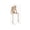 #82C, variant on Skeleton Figurines, Creates Gothic Display with Thinking Poses, Resin Statues, Movable Joints for Pose Adjustment and Vintage Realistic Skull Texture for Study Desk, Bookshelf, and Haunted House.