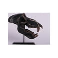 thumbnail image 4 of Monkey Baboon Skull Life Size Statue, 4 of 11