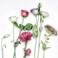 thumbnail image 2 of Weisz, Irene 26x26 White Modern Wood Framed Museum Art Print Titled - Fleur Moderne I, 2 of 4