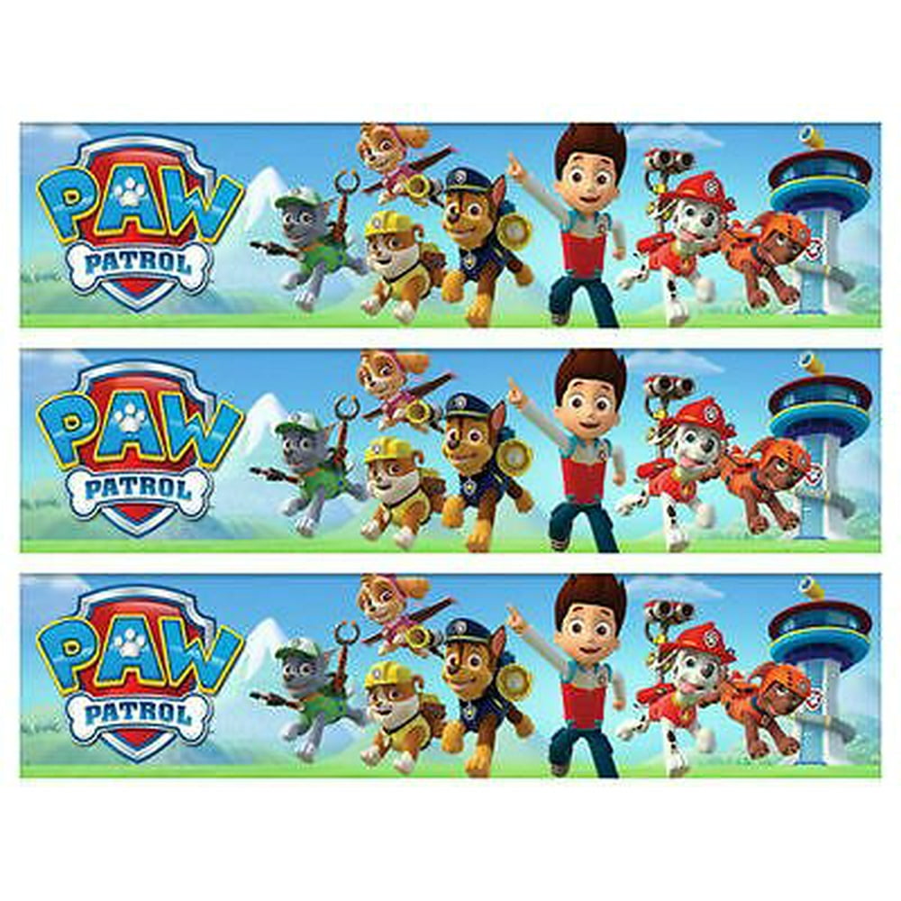 Paw Patrol 1/4 Sheet Image Frosting Cake Border Strips icing Edible