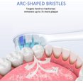 thumbnail image 4 of Mistayd Replacement Toothbrush Heads Compatible with Philips Toothbrush, 8 Pack Brush Heads Fit for Gum Health, , , + and (Sensitive), 4 of 5