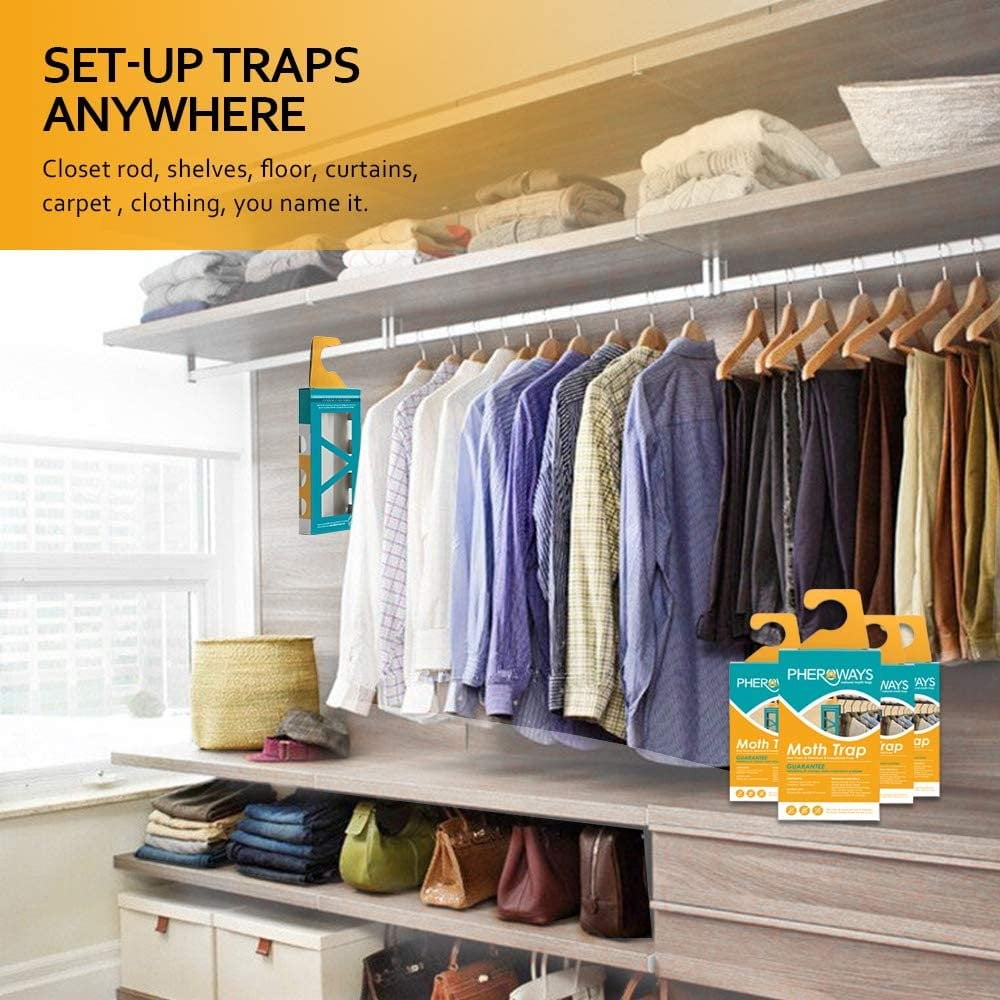 Pheroways Clothes Moth Traps, Safe Moth Traps for Closet Clothing and Carpet Moth Traps, Effective Guaranteed (6 Pack)
