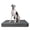 Blue with Red Trim, variant on The Dog’s Bed Orthopedic Memory Foam Dog Bed, XL Grey & Black 46x28, Pain Relief for Arthritis, Hip & Elbow Dysplasia, Post Surgery, Lameness, Supportive, Calming, Waterproof Washable Cover