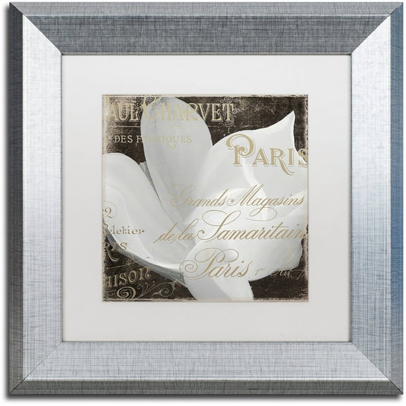 Trademark Fine Art "Fleurs Blanc II" Canvas Art by Color Bakery White Matte, Silver Frame