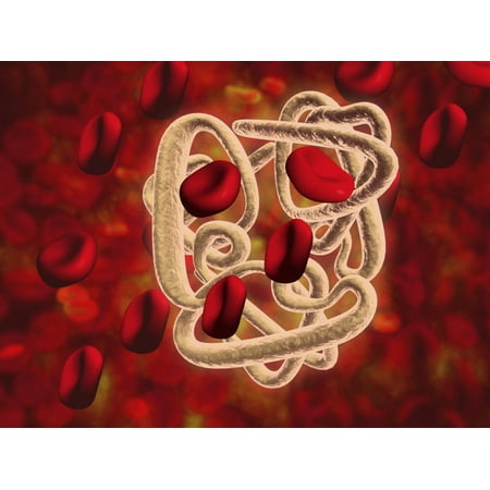 Conceptual image of hemoglobin and red blood cells Hemoglobin is a protein responsible for transporting oxygen in the red blood cells of vertebrates Poster