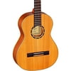Family Series 3/4 Size Nylon Classical Guitar with Bag