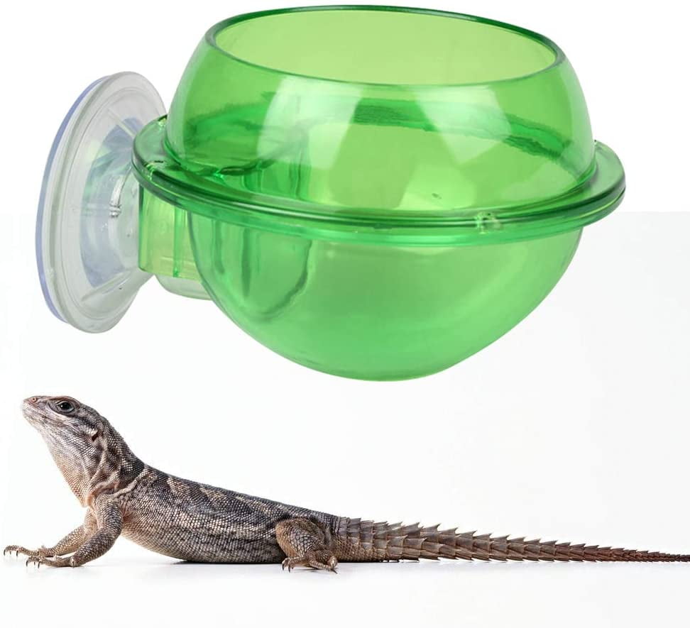lounge lizard reptile supplies lounge lizard reptile supplies