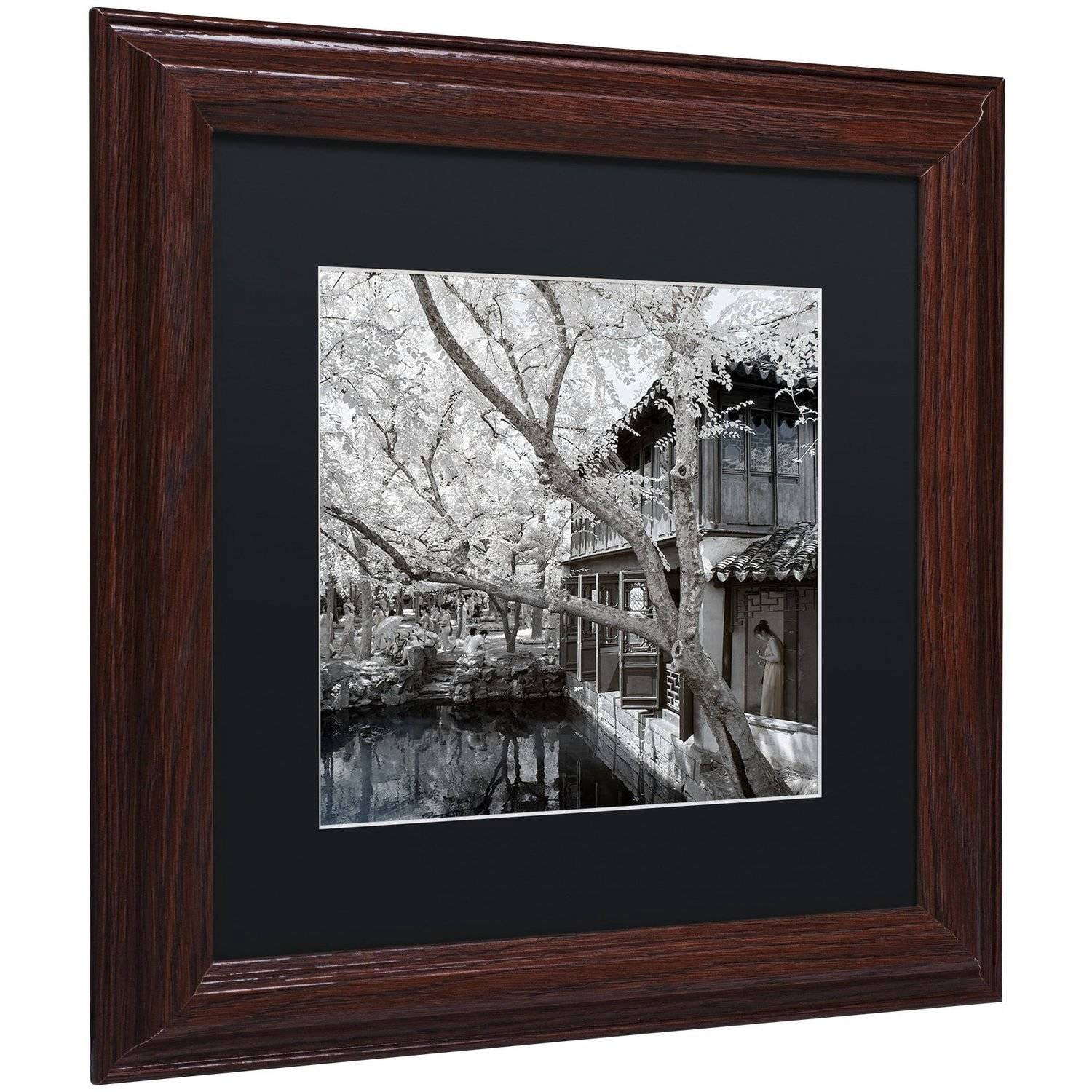 Trademark Fine Art "Reflections" Canvas Art by Philippe Hugonnard, Black Matte, Wood Frame