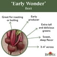 thumbnail image 5 of Burpee Organics Early Wonder Beet Seeds - Non-GMO, Heirloom Organic Vegetable Gardening Seeds, 2.5g, 1-Pack, 5 of 6