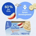 thumbnail image 4 of Gerber 2nd Foods Baby Food, Apple Banana with Oatmeal, 4 oz Tubs (2 Pack), 4 of 16