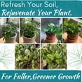 thumbnail image 4 of Organic Houseplant Probiotic Powder  Soil Conditioner to Improve Soil Structure, Balance pH, Enhance Soil Bioavailability and Improve Growth, Blooms, Yield  Fast Acting  Indoor and Outdoor Plants, 4 of 9