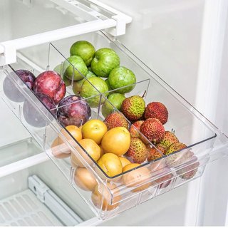 LALASTAR Fridge Drawers, 2-PACK Fridge Organizers and Storage Clear, Mini  Refrigerator Organizer Bins with Handle, Fit for Fridge Shelf Under 0.6  (No