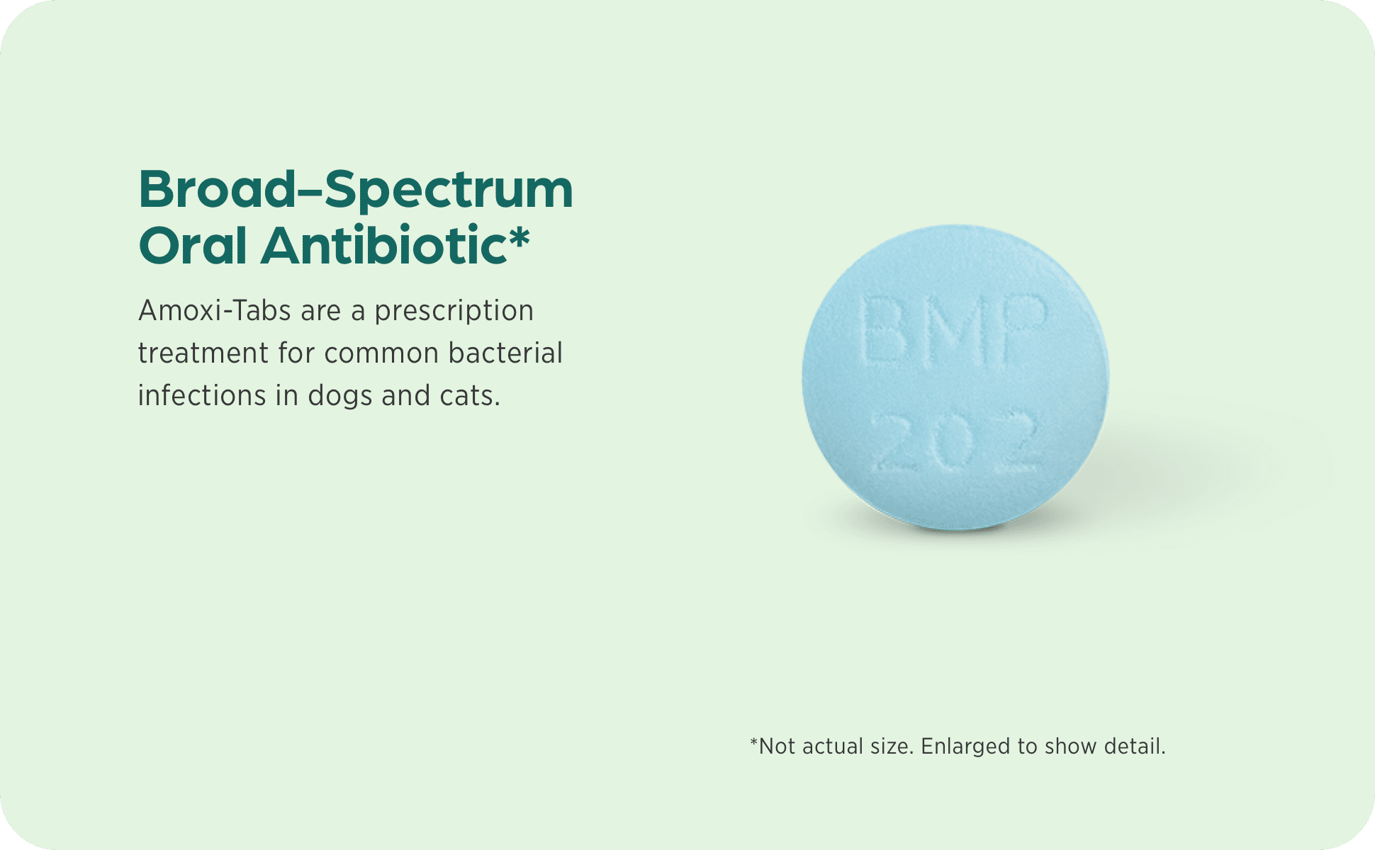 Amoxi-Tabs (Amoxicillin Tablets) for Dogs & Cats, 100 mg, Antibiotic Treatment