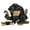 Insignia, variant on Weaver Leather Grooming Kits