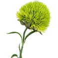 thumbnail image 4 of 4Pcs Fake Dianthus Artificial Greenery Stem Realistic Green Tricks for Home Kitchen Wedding Courtyard Decoration (Dark Green), 4 of 5