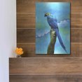 thumbnail image 5 of Luxe Metal Art 'Blue Parrot' by Ata Alishahi, Metal Wall Art, 12"x16", 5 of 9