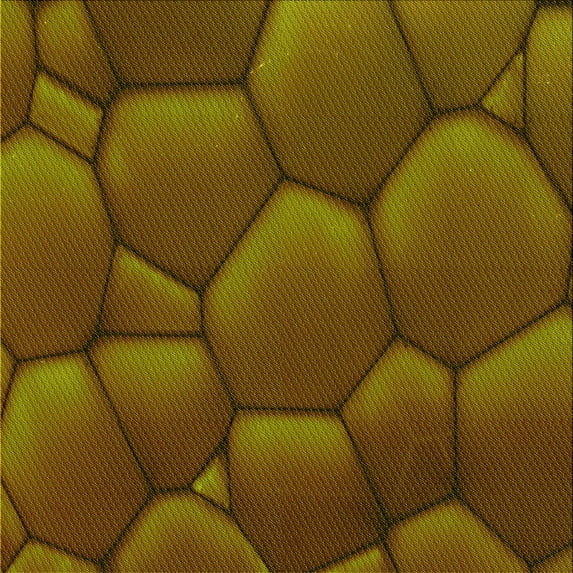 Ahgly Company Machine Washable Indoor Square Transitional Red Brown Area Rugs, 4' Square