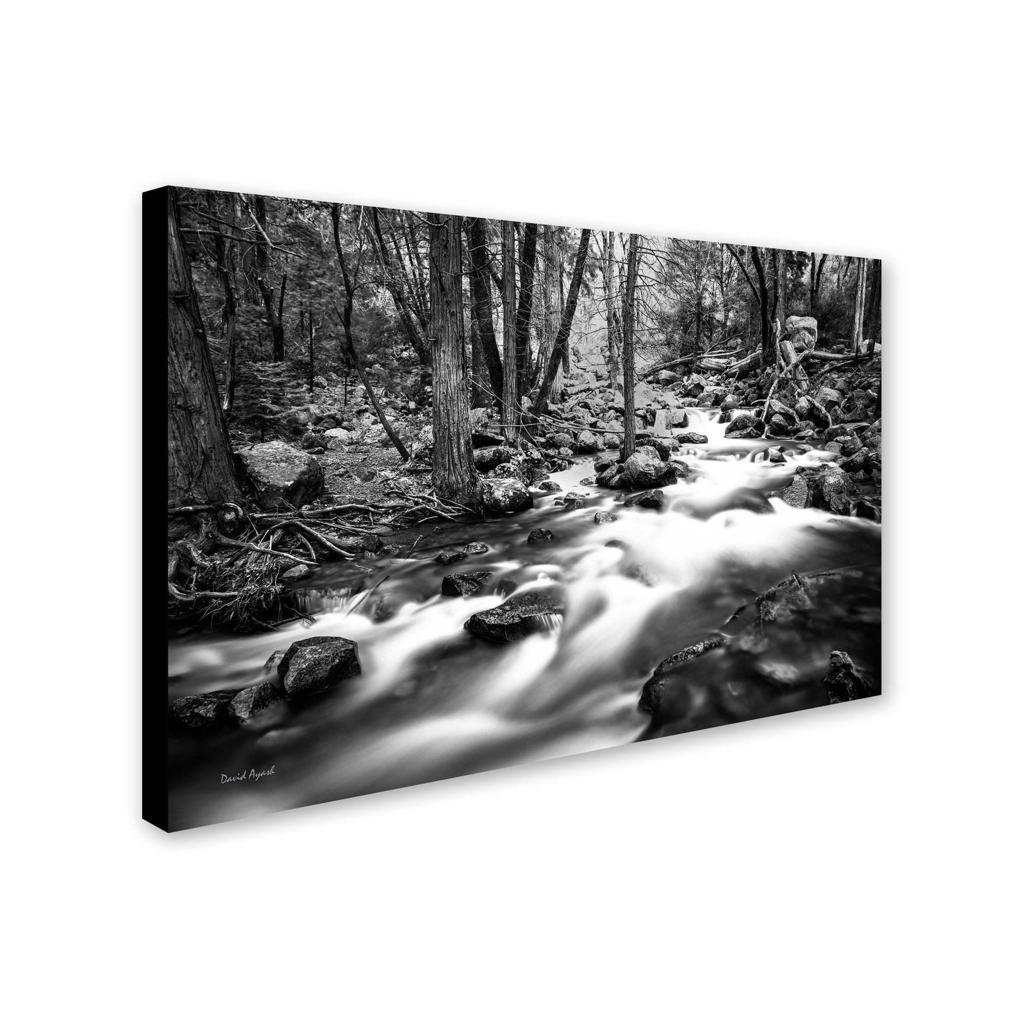 Trademark Fine Art "Yosemite National Park - California-I" Canvas Art by David Ayash