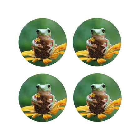 

Matuu Tree Frog Sitting On Sunflowes for Cup Coasters Set of 4 Leather Coasters Desk Coasters for Office Measures 4” x 4”-Round Shape