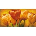 thumbnail image 2 of Pedersen, David 14x9 White Modern Wood Framed Museum Art Print Titled - Bouquet of orange tulips, 2 of 4