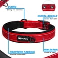 thumbnail image 3 of Collar de perro PetiFine Heavy Duty con hebilla de metal para perros pequeños, 3 of 7