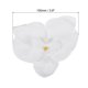 thumbnail image 2 of Cabezas de flores de orquídea Phalaenopsis de seda artificial de 3.9" Uxcell para decoración de bodas DIY, paquete de 20, blanco puro, 2 of 6