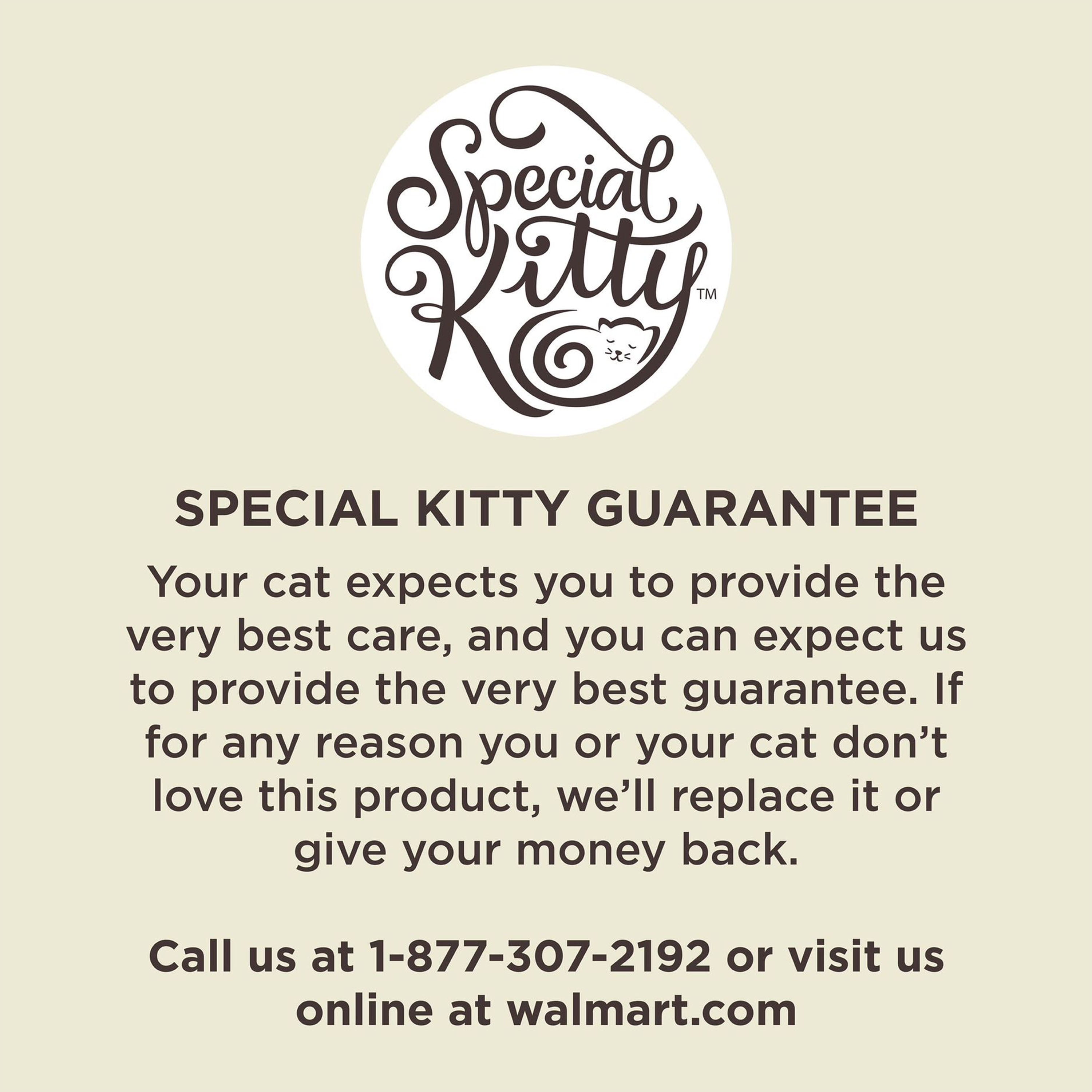 (3 pack) Special Kitty Lightweight Fresh Scent Clumping Cat Litter 8.5 lb Stand Up Bag