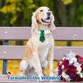 thumbnail image 4 of Collar ajustable para perro con corbata, collares formales para perros y mascotas, 4 of 5