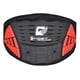 thumbnail image 1 of Greeniant Motocicleta Motocross Racing Cinturón de riñón Apoyo Cintura Protector Gear Red Type3 NO3, 1 of 1