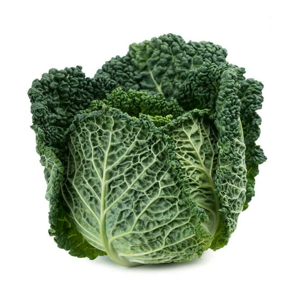 Savoy Perfection Cabbage Seeds - 200 Count Seed Pack - A Large Drumhead-Type Cabbage That has Finely-Wrinkled, savoyed Leaves, mild and Sweet in Flavor. - Country Creek LLC
