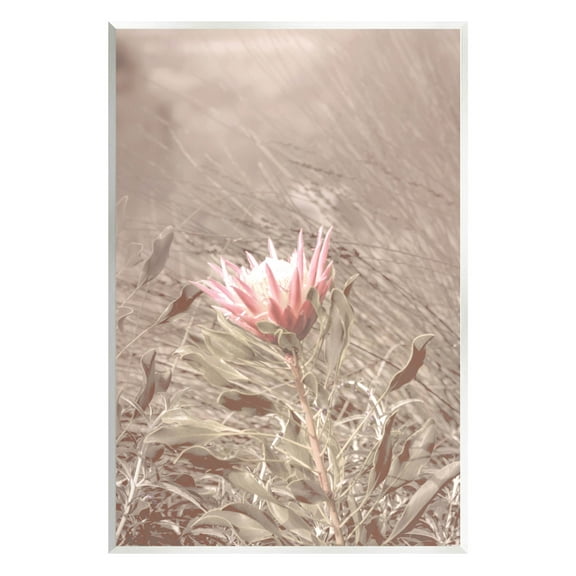 Stupell Industries Lone Pink Flower Grassland Photograph Unframed Art Print Wall Art, Design by Lil' Rue