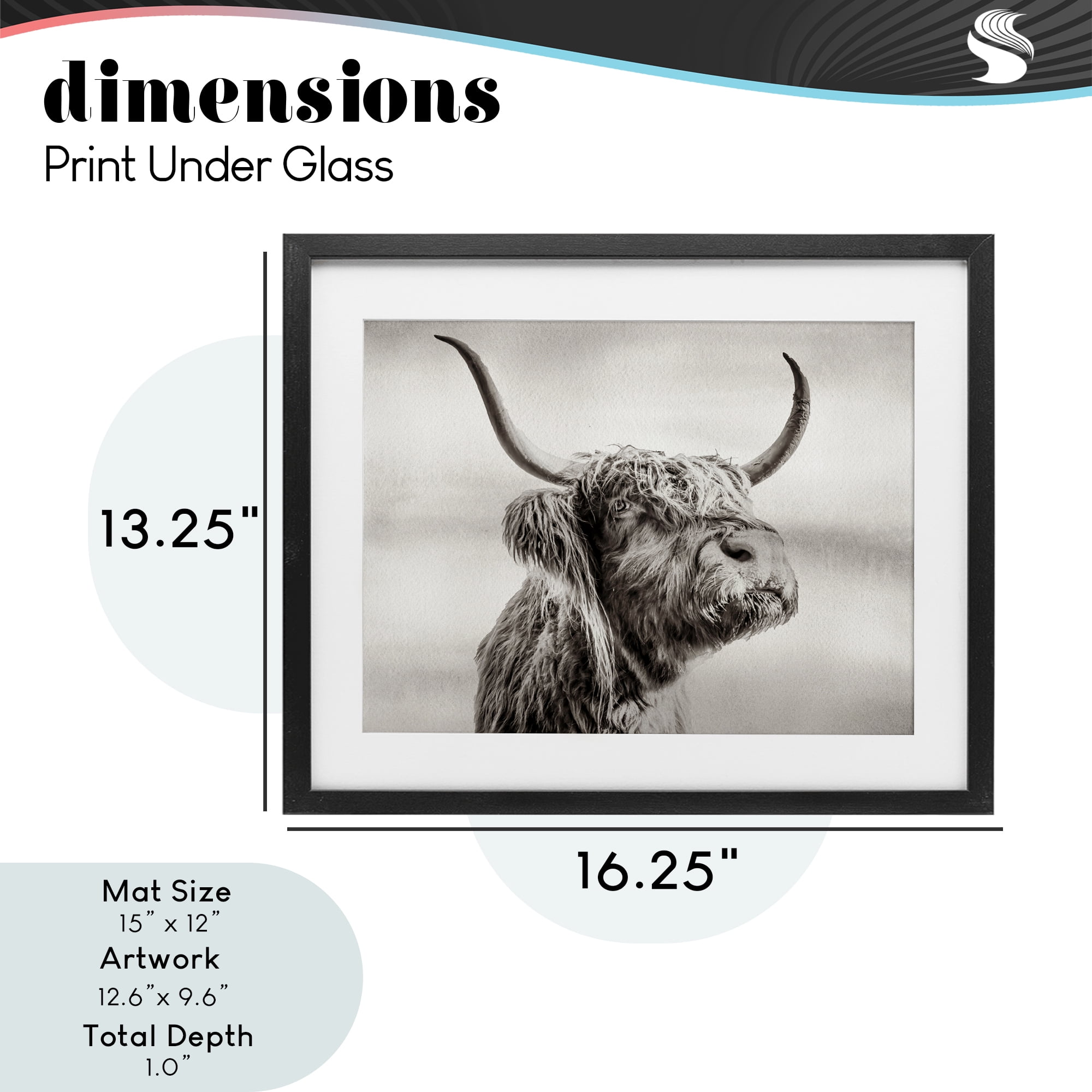Stupell Industries Horned Highland Cow Gazing Black Framed Print Under Glass, design by Julia Frost