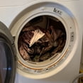 thumbnail image 6 of Dead Down Wind Unscented Dryer Sheets - 30ct, 6 of 7