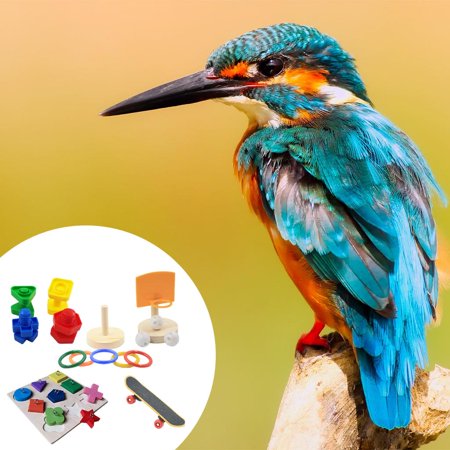 8 Pcs Bird Toy Colorful Resistant Entertainment Multicolored Interactive Blocks Biting Toy Combination for Parakeets Bird Pet Accessories