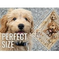 thumbnail image 3 of Goldendoodle Blanket Gifts for Goldendoodle Lover & Owner, Goldendoodle Gifts for Women & Men, Blanket for Goldendoodle Dog Mom & Dad, Soft Flannel Blanket, 60 x 50 inches, 3 of 6