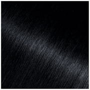 Garnier Olia Oil Powered Permanent Hair Color, 1.0 Black