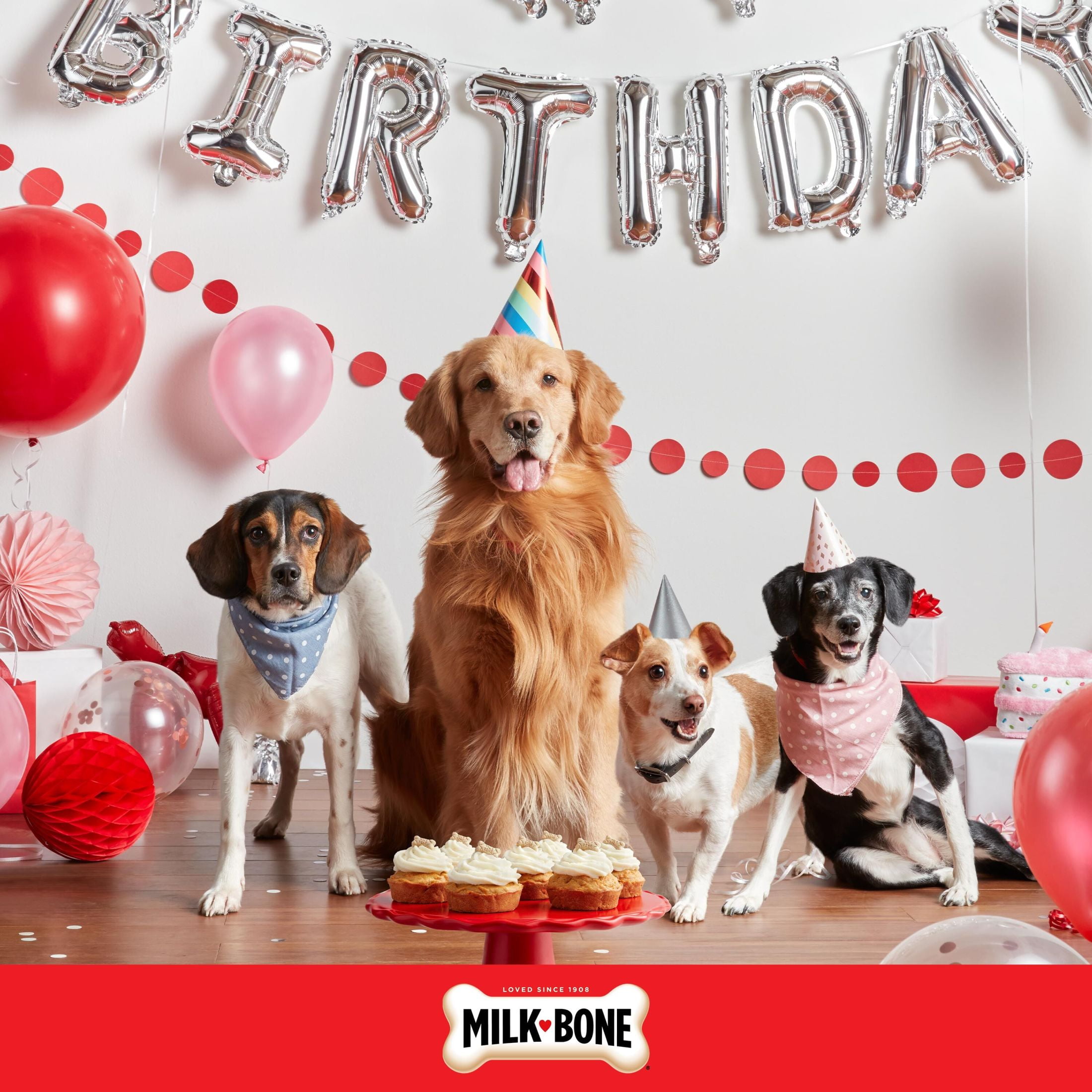 (2 pack) Milk Bone CELEBRATE Birthday Cake Artificially Flavored Biscuits, Small Dog Treats, 8 oz Bag